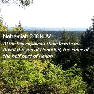 Nehemiah 3:18 KJV Free Bible Images