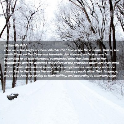 Esther 8:9 KJV Free Bible Images