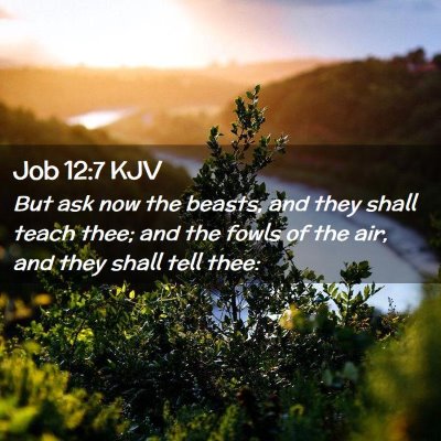 Job 12:7 KJV Free Bible Images