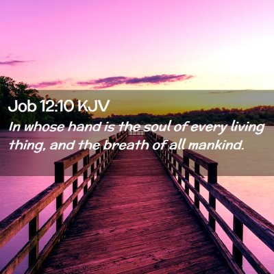 Job 12:10 KJV Free Bible Images