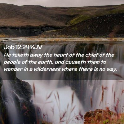 Job 12:24 KJV Free Bible Images