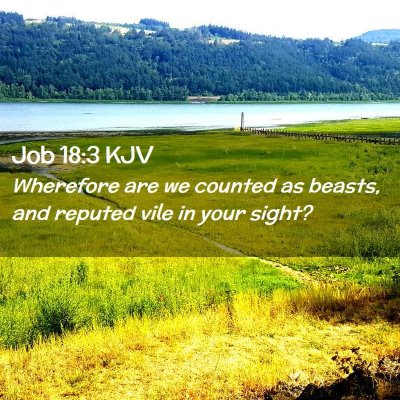 Job 18:3 KJV Free Bible Images