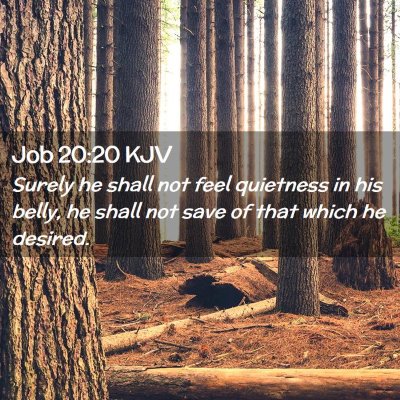 Job 20:20 KJV Free Bible Images