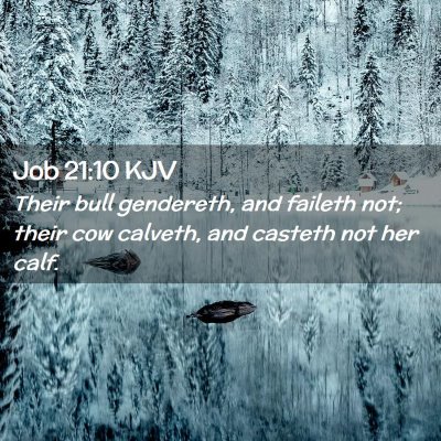 Job 21:10 KJV Free Bible Images