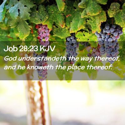 Job 28:23 KJV Free Bible Images