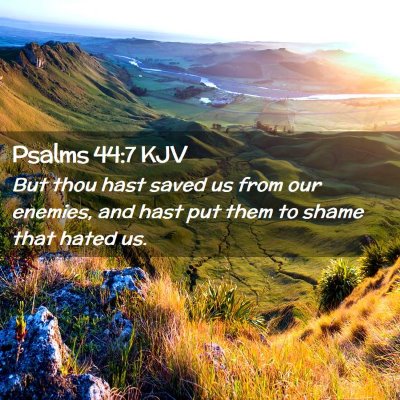 Psalms 44:7 KJV Free Bible Images