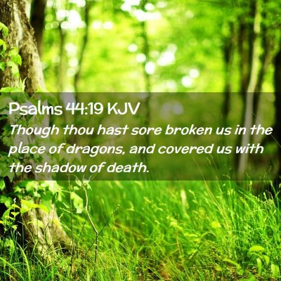 Psalms 44:19 KJV Free Bible Images