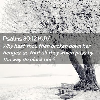Psalms 80:12 KJV Free Bible Images