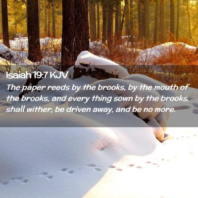 Isaiah 19:7 KJV Free Bible Images