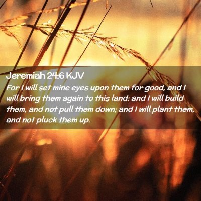 Jeremiah 24:6 KJV Free Bible Images