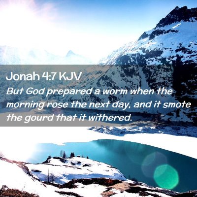 Jonah 4:7 KJV Free Bible Images