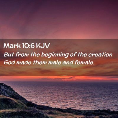 Mark 10:6 KJV Free Bible Images