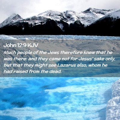 John 12:9 KJV Free Bible Images