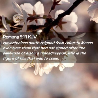 Romans 5:14 KJV Free Bible Images